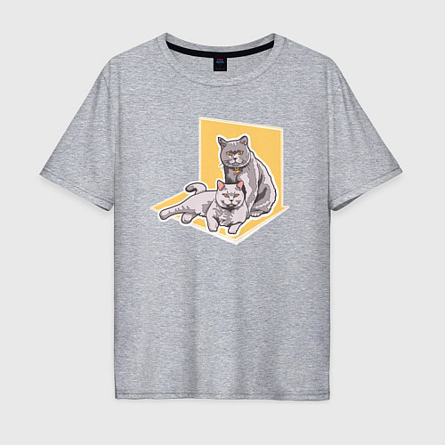 Мужская футболка оверсайз Британская кошка Кошки / Меланж – фото 1