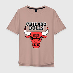 Мужская футболка оверсайз Chicago Bulls