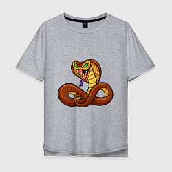 Мужская футболка оверсайз Для любителей змей