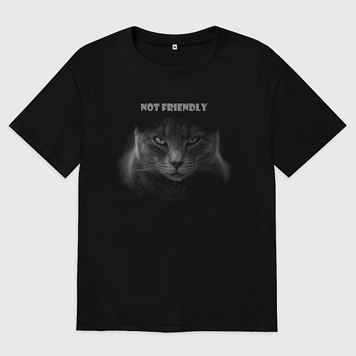 Мужская футболка оверсайз Не дружелюбный кот / Черный – фото 1