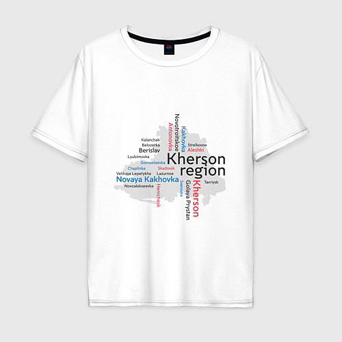 Мужская футболка оверсайз Херсонская область / Белый – фото 1