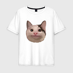 Мужская футболка оверсайз Polite cat meme