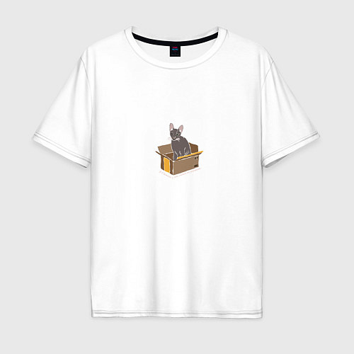 Мужская футболка оверсайз Кошка в коробке / Белый – фото 1