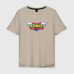 Мужская футболка оверсайз Team Sonic racing - logo
