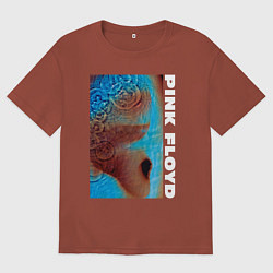 Футболка оверсайз мужская Pink Floyd Meddle, цвет: кирпичный