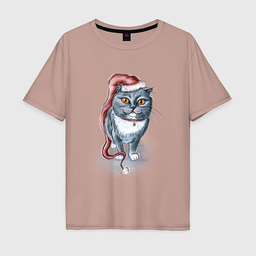 Мужская футболка оверсайз Гном кот / Пыльно-розовый – фото 1