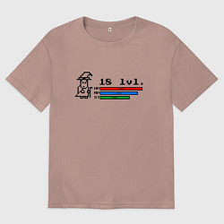 Мужская футболка оверсайз Волшебник level up 18