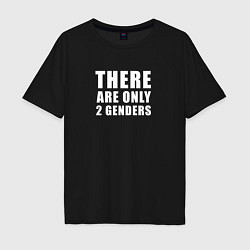 Мужская футболка оверсайз There are only 2 genders