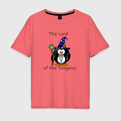 Мужская футболка оверсайз Властелин пингвинов