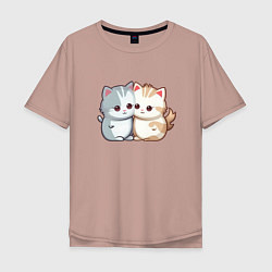 Мужская футболка оверсайз Cute cats