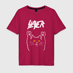 Мужская футболка оверсайз Slayer rock cat