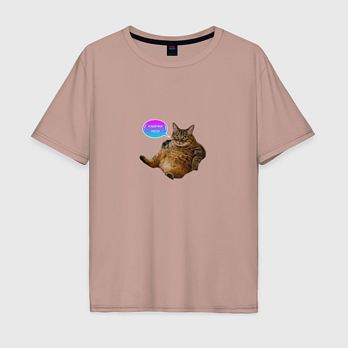 Мужская футболка оверсайз Кабачки неси - кот мем / Пыльно-розовый – фото 1