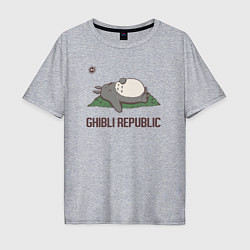 Мужская футболка оверсайз Ghibli republic