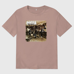 Мужская футболка оверсайз Pantera cowboys from hell