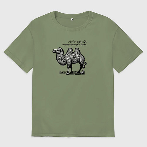 Мужская футболка оверсайз У верблюда два горба / Авокадо – фото 1
