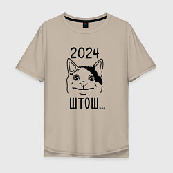 Мужская футболка оверсайз 2024 - мемный кот