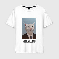 Футболка оверсайз мужская Приемлемо - кот мем в живописи, цвет: белый