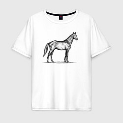 Мужская футболка оверсайз Лошадь в профиль