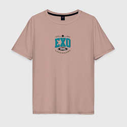 Мужская футболка оверсайз EXO legendary