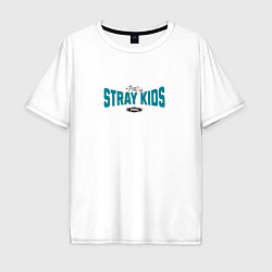 Мужская футболка оверсайз Stray Kids legendary