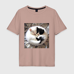 Мужская футболка оверсайз Два любящих котика обнимаются клубочком