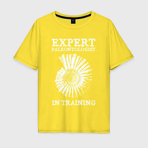 Мужская футболка оверсайз Эксперт палеонтолог на стажировке / Желтый – фото 1