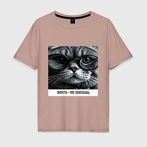 Мужская футболка оверсайз Мем кот в очках: шерсть это приправа / Пыльно-розовый – фото 1