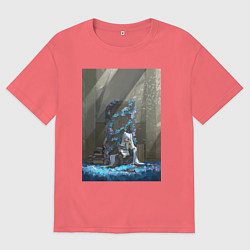 Мужская футболка оверсайз Провожающая в последний путь Фрирен