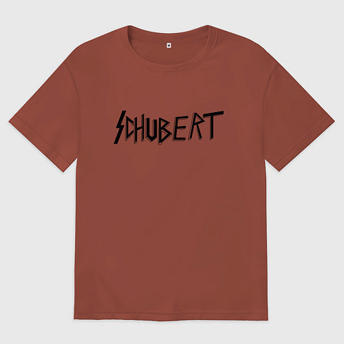 Мужская футболка оверсайз Шуберт чёрный / Кирпичный – фото 1