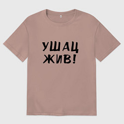 Футболка оверсайз мужская Первый советский мем, цвет: пыльно-розовый