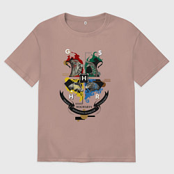 Мужская футболка оверсайз Hogwarts School of Witchcraft and Wizardry