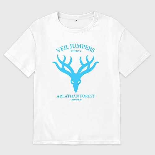 Мужская футболка оверсайз Veil Jumpers - Dragon Age / Белый – фото 1