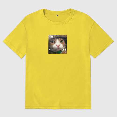 Мужская футболка оверсайз Рыжий кот с сердечками для пары / Желтый – фото 1