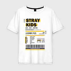 Мужская футболка оверсайз Stray kids ticket