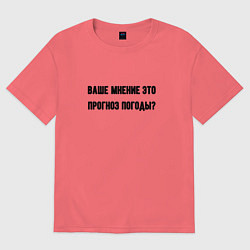 Мужская футболка оверсайз Мнение это прогноз погоды
