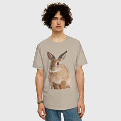 Футболка оверсайз мужская Бежевый кролик, цвет: миндальный — фото 2