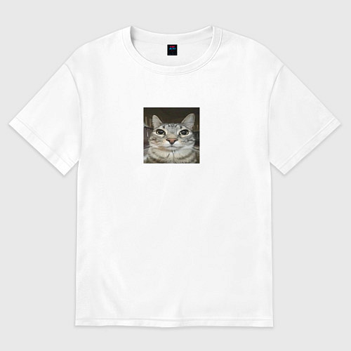 Мужская футболка оверсайз Cat meme / Белый – фото 1
