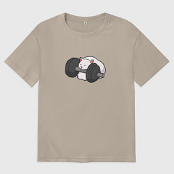 Мужская футболка оверсайз Кот спит на гантели