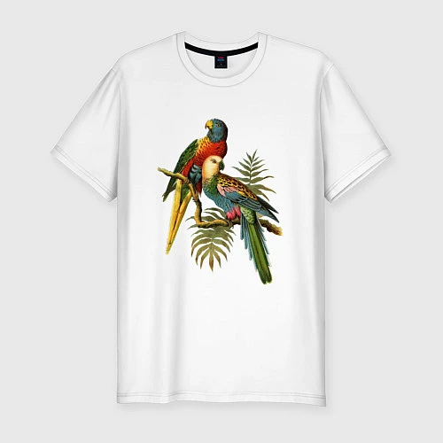 Мужская slim-футболка Тропические попугаи / Белый – фото 1