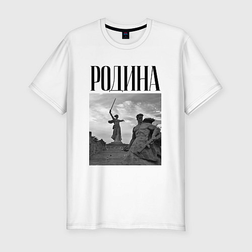 Мужская slim-футболка Родной Волгоград / Белый – фото 1