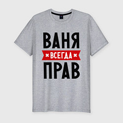 Футболка slim-fit Ваня всегда прав, цвет: меланж