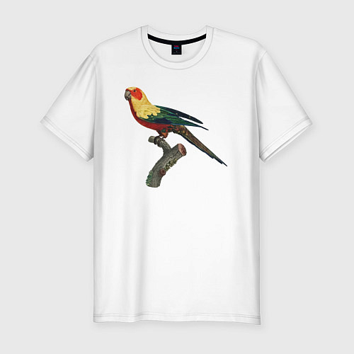 Мужская slim-футболка Попугай аратинга / Белый – фото 1