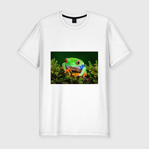 Мужская slim-футболка Тропическая лягушка / Белый – фото 1