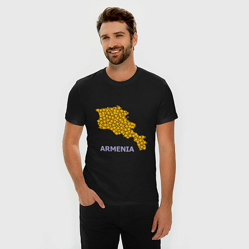 Мужская slim-футболка Golden Armenia / Черный – фото 3
