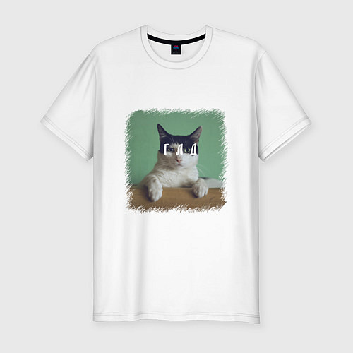 Мужская slim-футболка Мем - голодный кот / Белый – фото 1