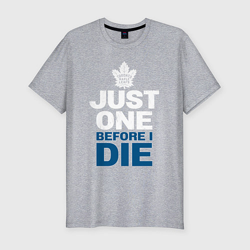 Мужская slim-футболка Торонто нхл / Меланж – фото 1