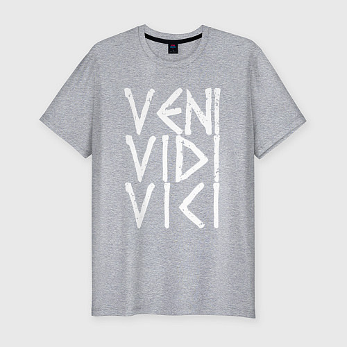 Мужская slim-футболка Veni vidi vici - пришел увидел победил / Меланж – фото 1