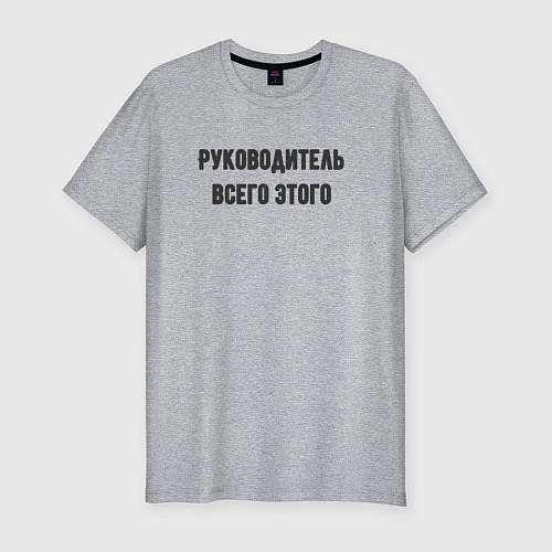 Мужская slim-футболка Руководитель всего этого / Меланж – фото 1