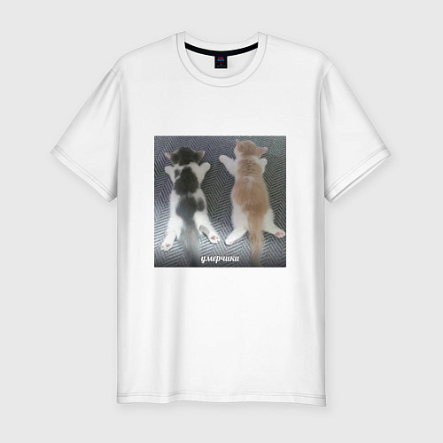 Мужская slim-футболка Мемные коты умерчики / Белый – фото 1