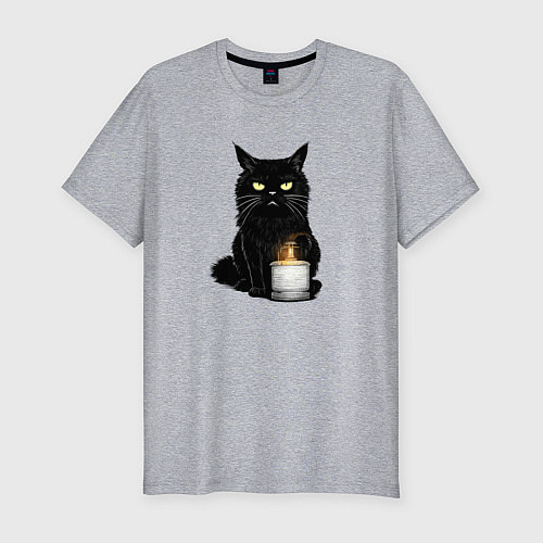 Мужская slim-футболка Кот с примусом / Меланж – фото 1